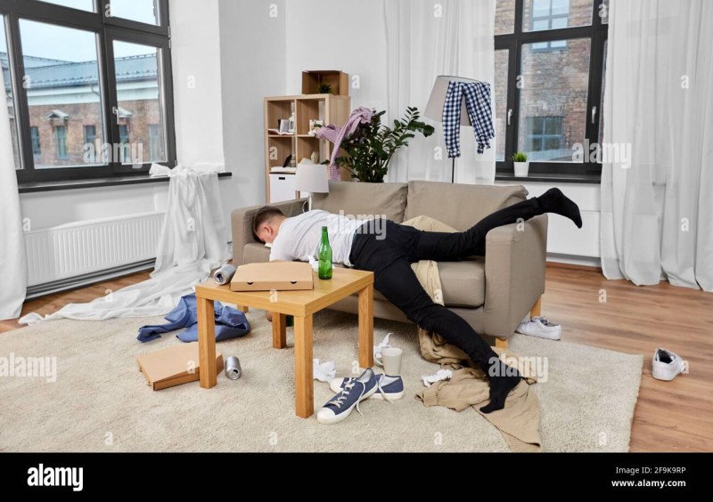 The resume of the developer