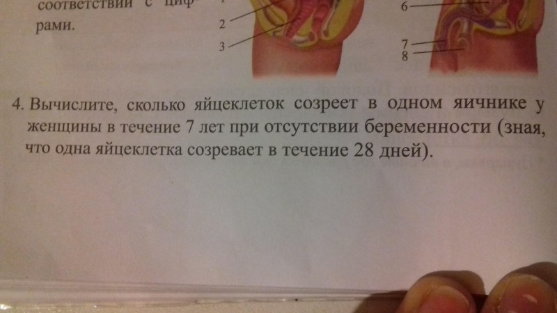 Biology topic Propagation of Human
