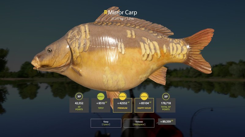 Carp mirror trophy Russian fishing 4