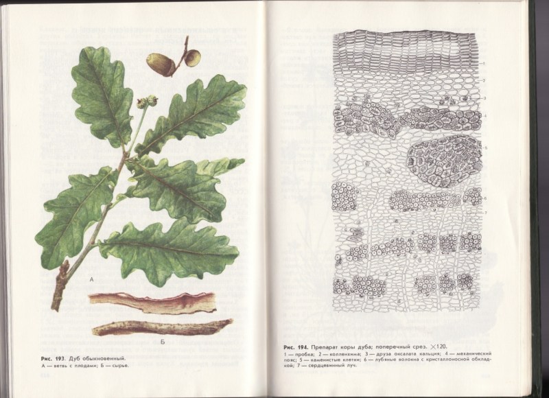 Olga Volkova obscene photos