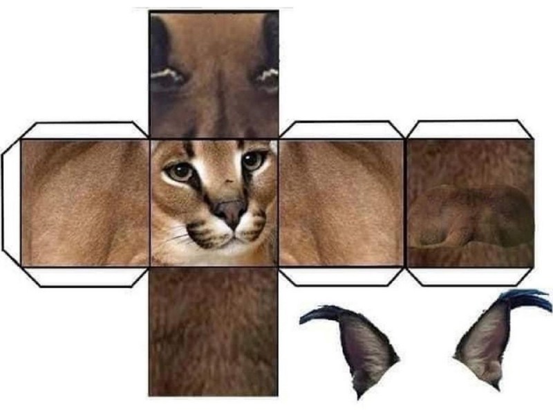 The Last of Us Ellie and Dina Bed Scene