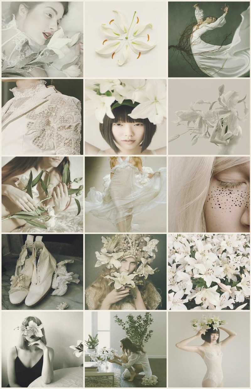 Lilies aesthetics