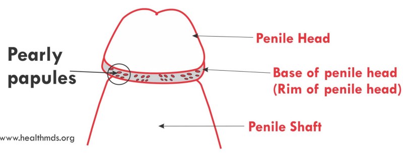 The size of the banana