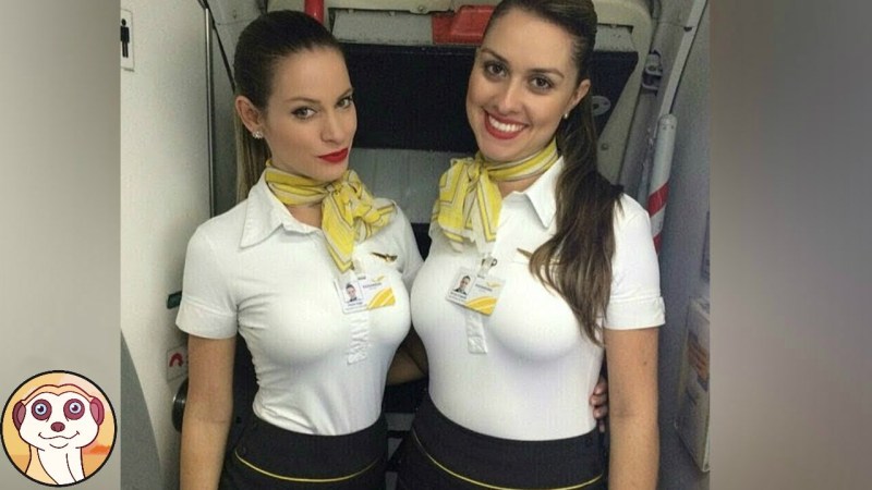 Big breast stewardesses