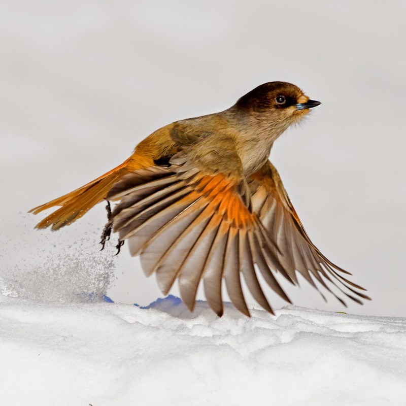 Masha Vyakhireva model Mia Production