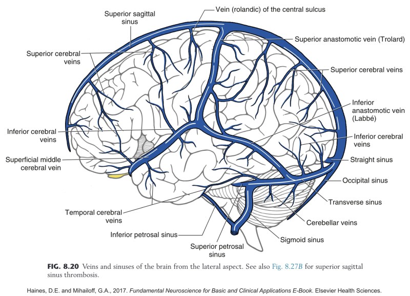 YOUR Account Has Been Locked