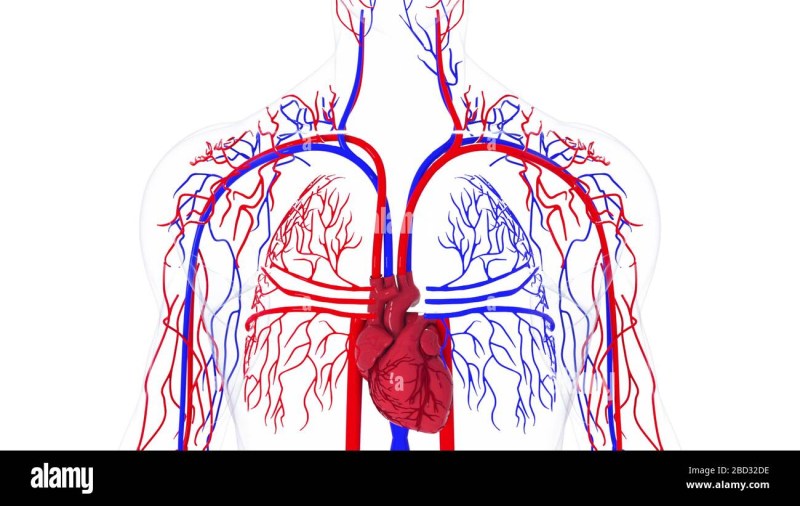 Computer games for adults 18