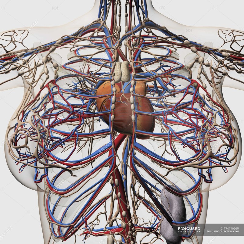 Ricky Lindhome Hell's child