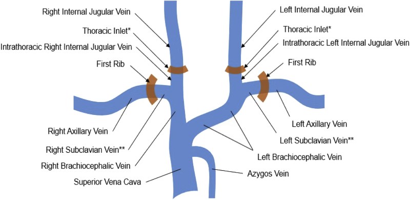 Depraved Awakening Mrs. Turner