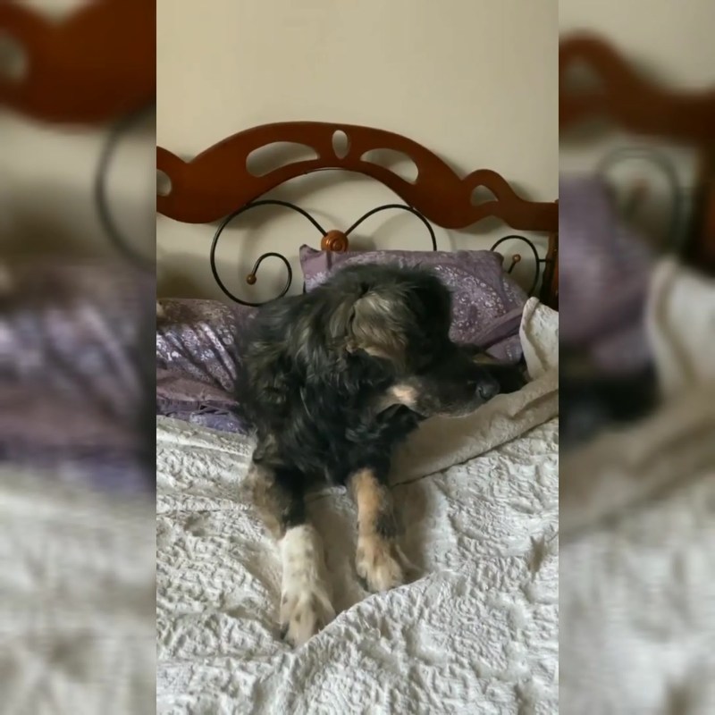 Natalia Orlova Vologda