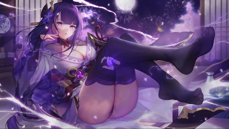 Genshin Rayden Pantsu