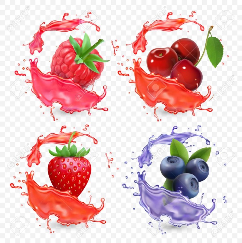 Garden berries Vector