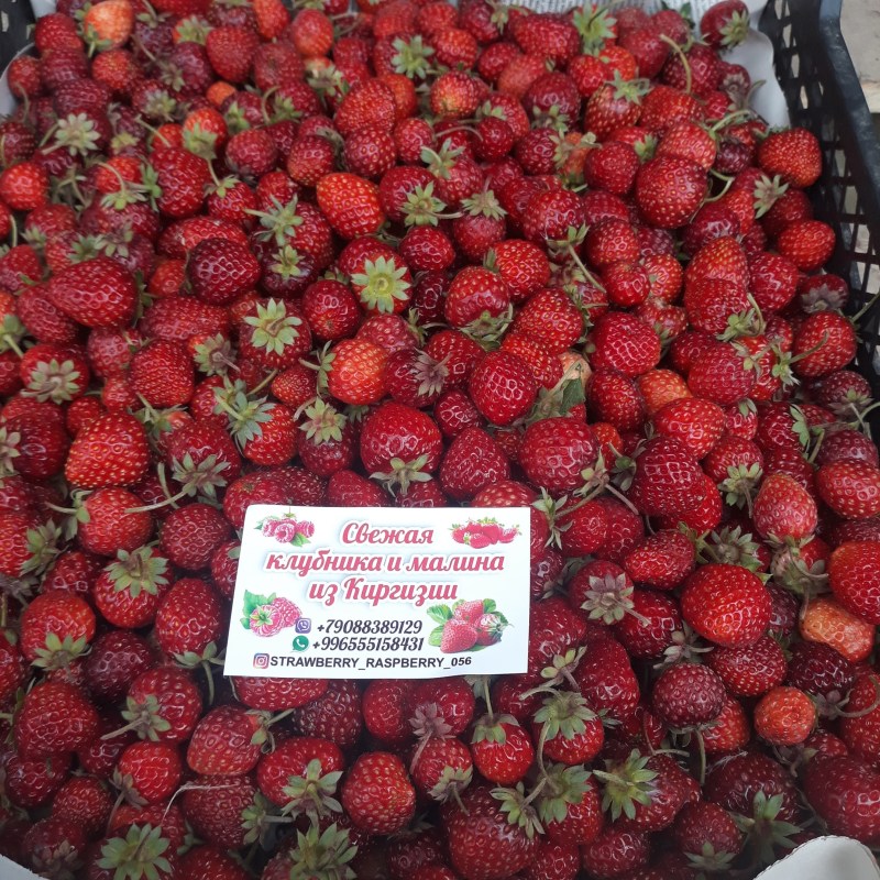 Beautiful background with strawberries