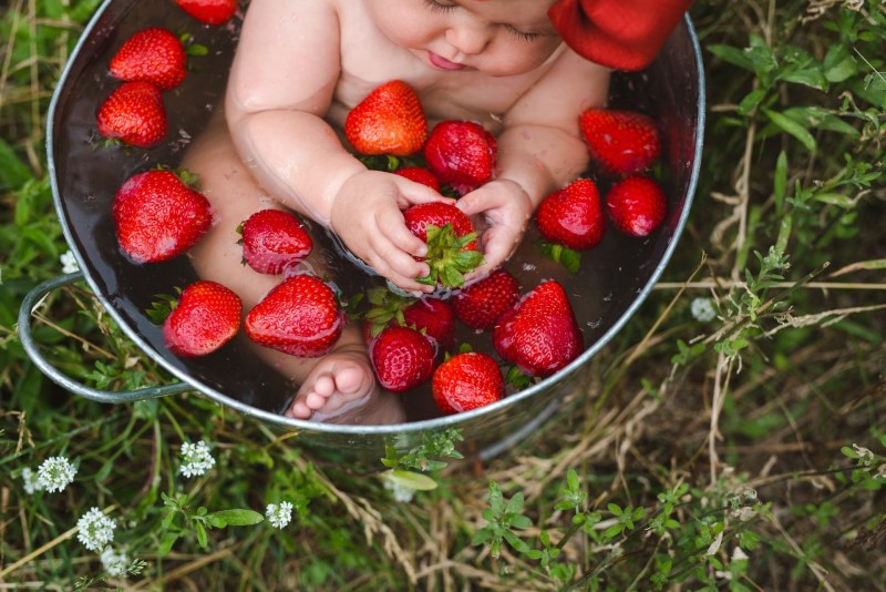 Forest berries for printing