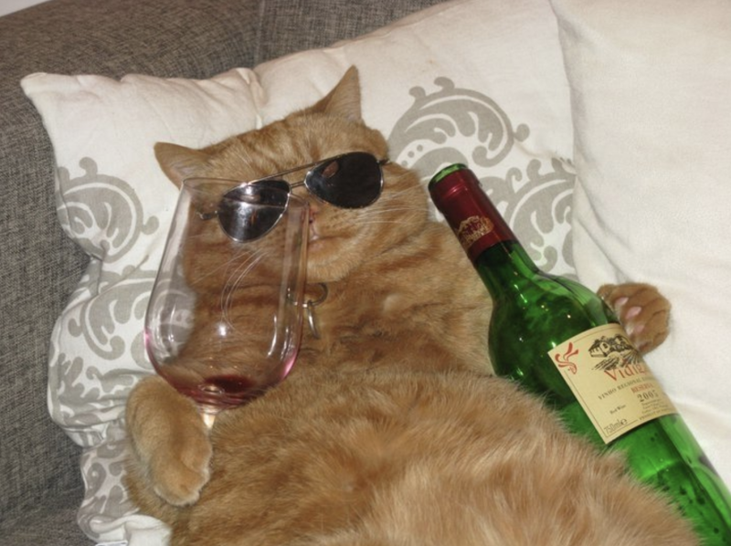 Mageroyal Academy, 2021