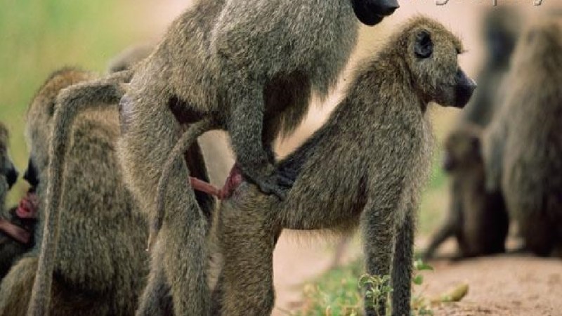 Dee Siren naked in his youth