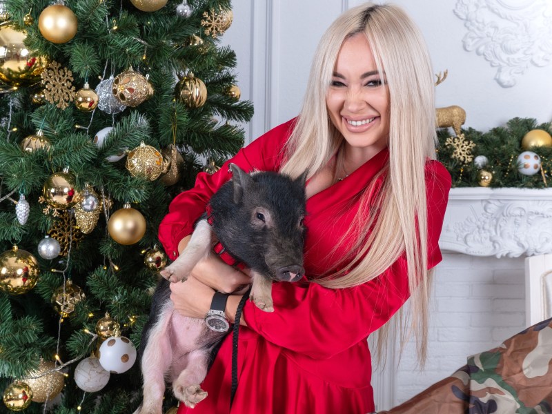 Kostenko Yulia Kutuzovsky Prospekt