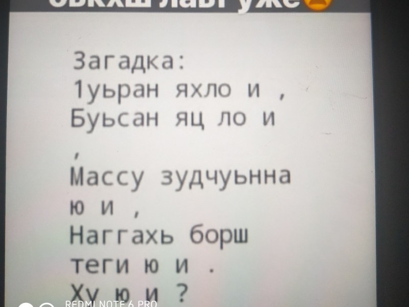 Vakfu Yugo and Amalia