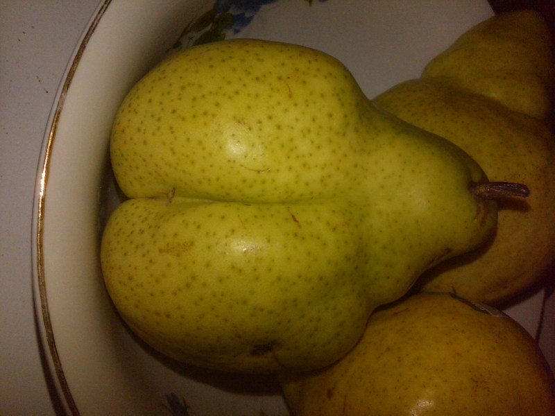 Shorts for different types of figures