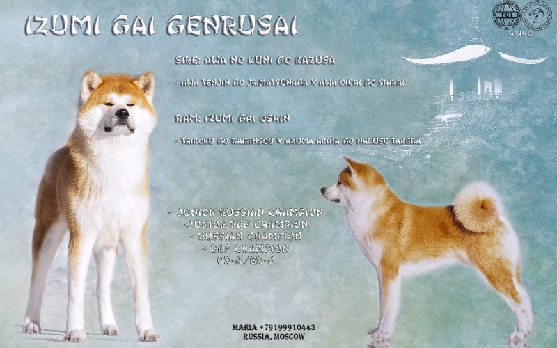 Milfa Ekaterina Stelkina