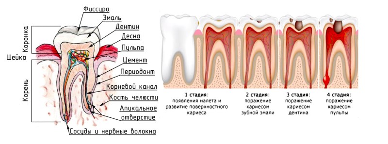 Therapist's conclusion before surgery