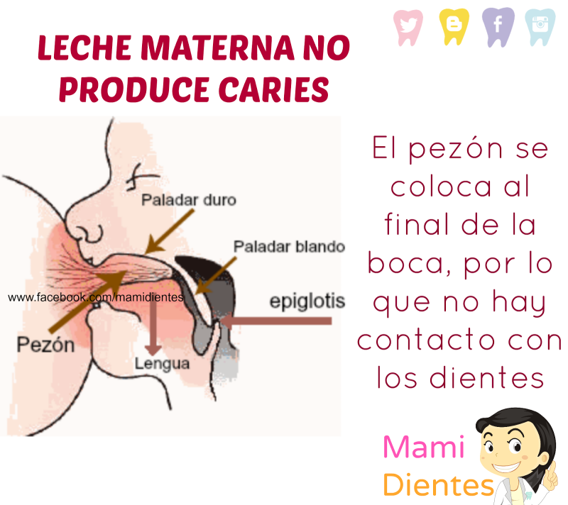 Big Brother 0.13.0.007 Ann