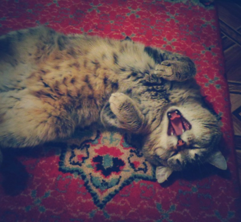 Julianna Karaulova photo from clips