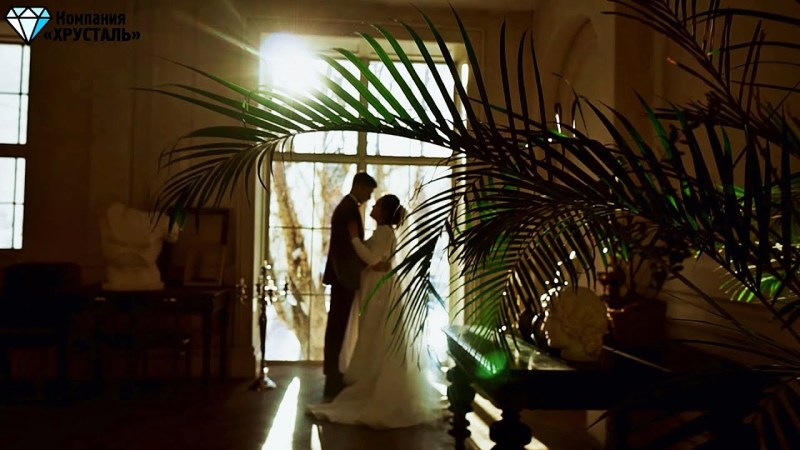 Drawings of cats for sketches are light