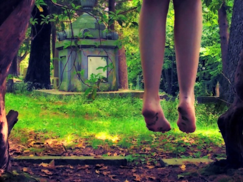 Dream SMP Technoblade Wallpaper