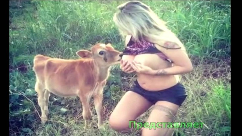 World of Tanks tankers