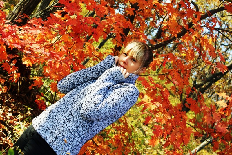 The mode of operation is a joke