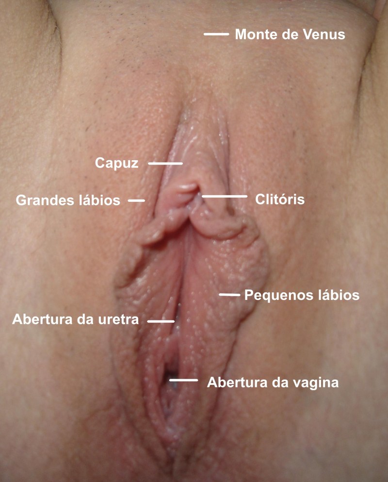 Beautiful anus in thongs