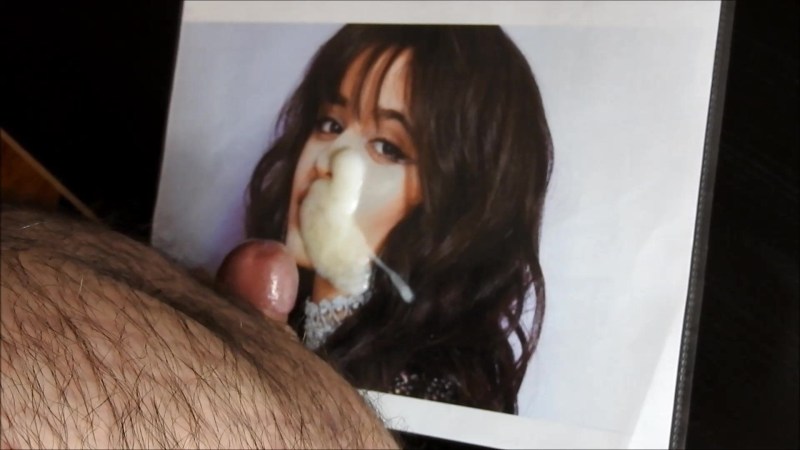 Camilla Cabello Tits