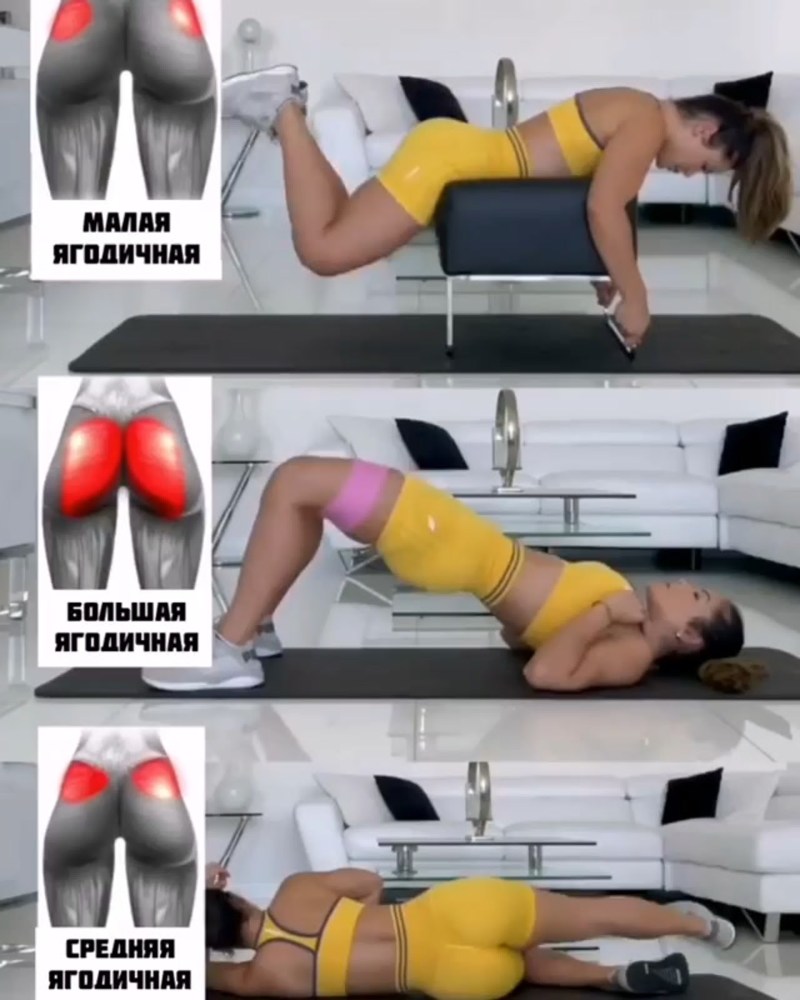 The buttocks are total