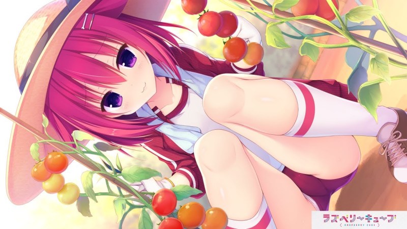 Blumers of anime echchi