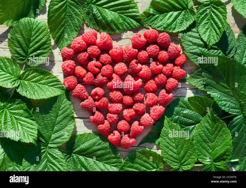 Raspberry is a repair heart