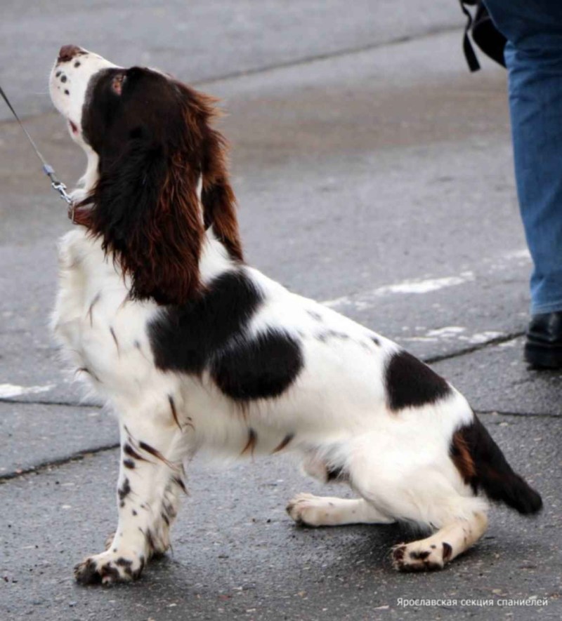 Mature homemade in the first person