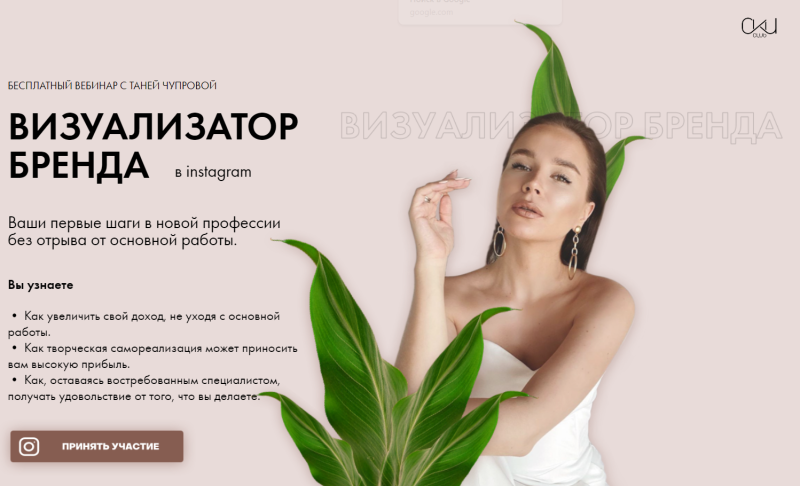 Brand visualizer on Instagram