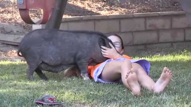 Pregnant beauty in a bikini