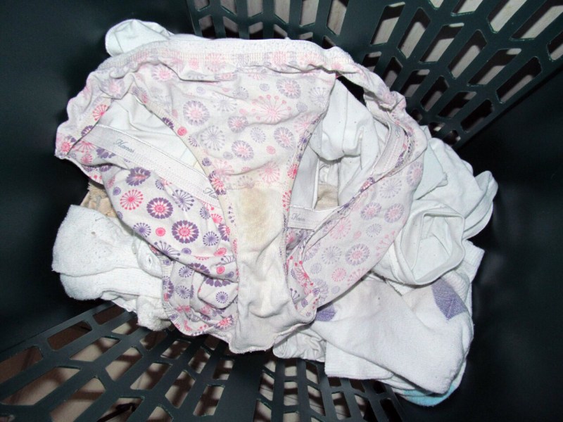 Spy Fam Famous Brother