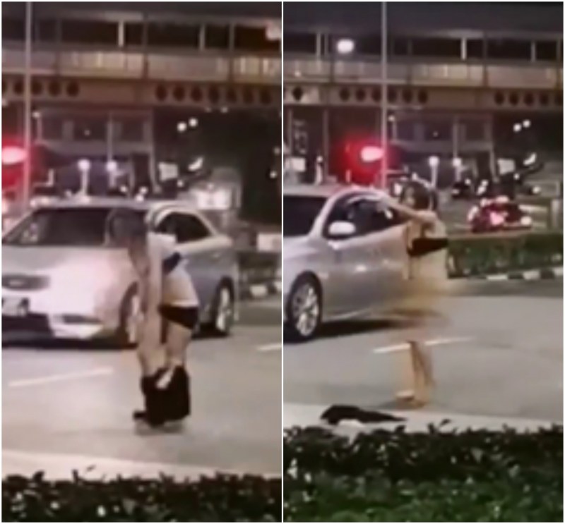 Microwave Panasonic NN SD366W Scheme