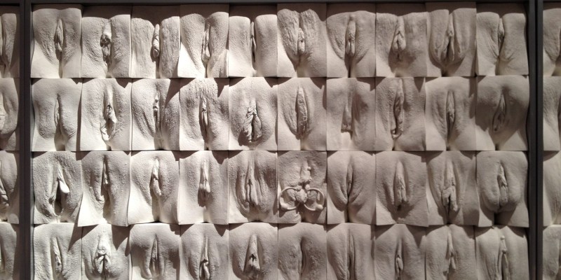 Jamie McCartney "The Great Wall of Vagin"