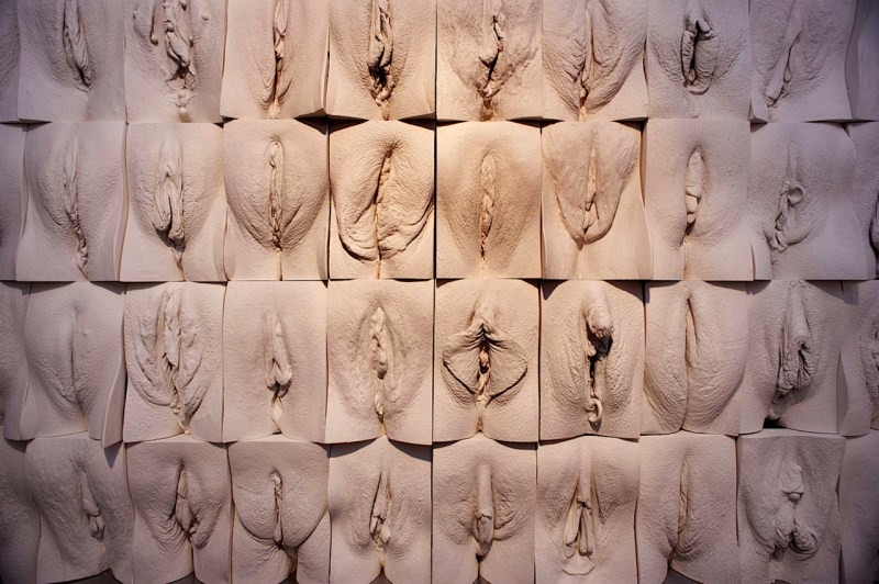 Jamie McCartney "The Great Wall of Vagin"