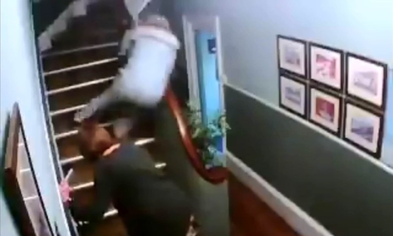 Dachshund fell from the stairs