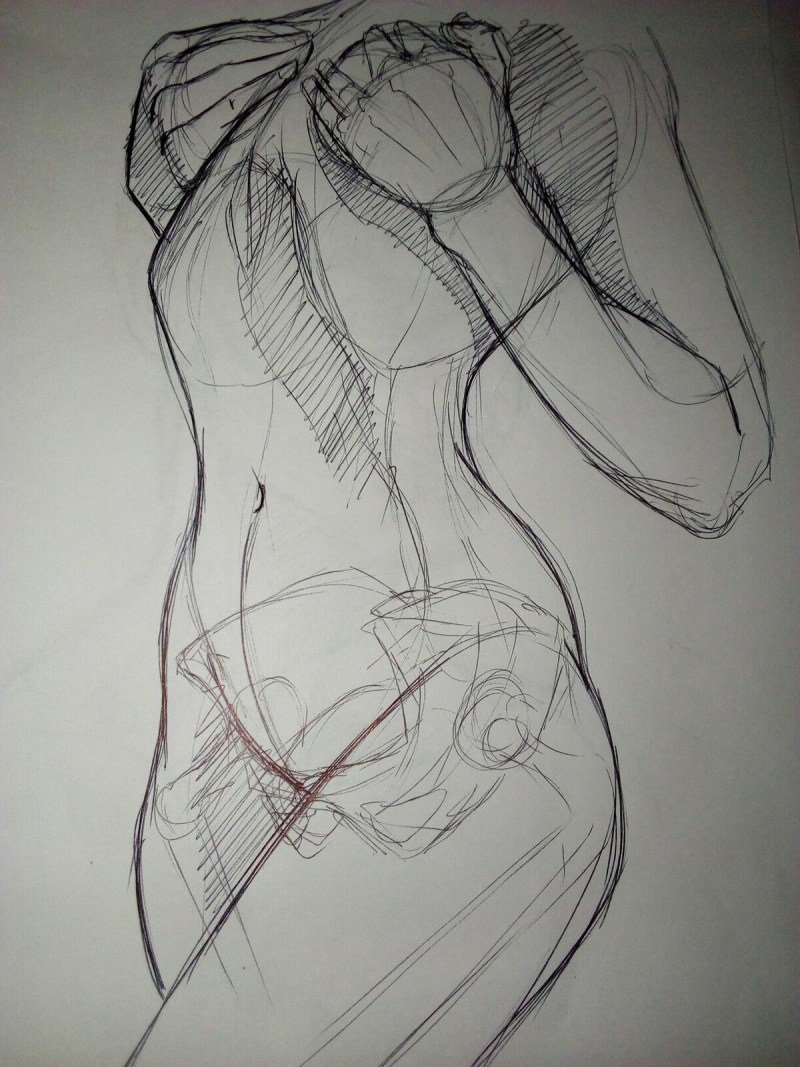 Sketches of the female body