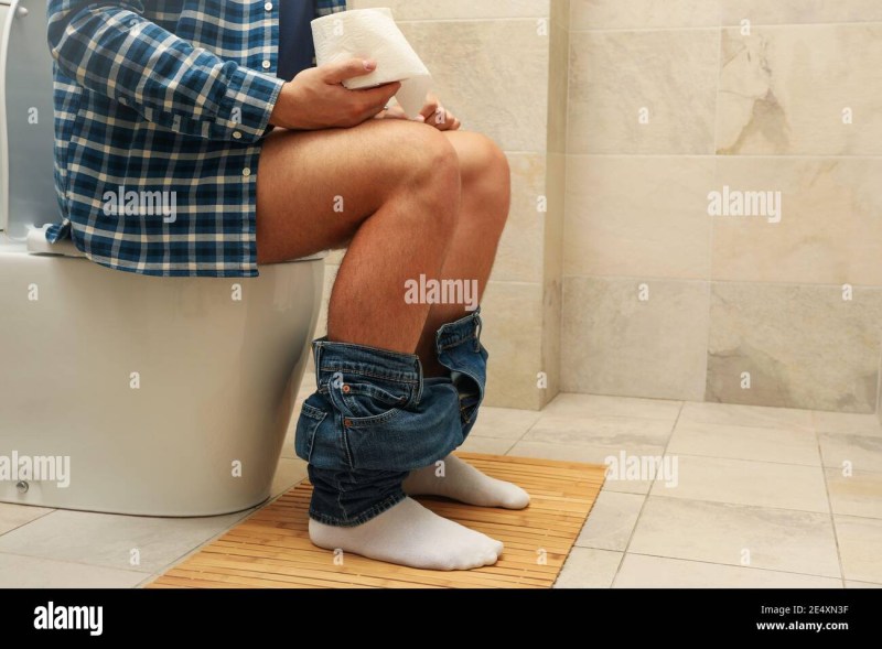 Hydrangea blizzard bombchelle photo