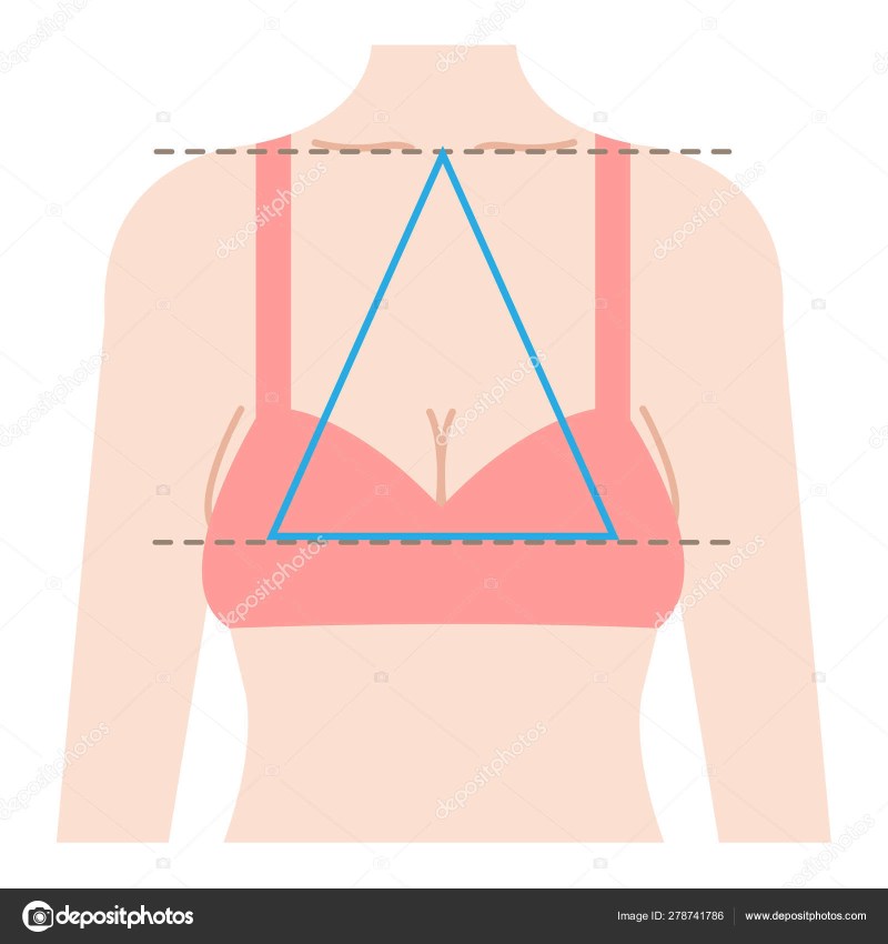 The stencil of the female breast