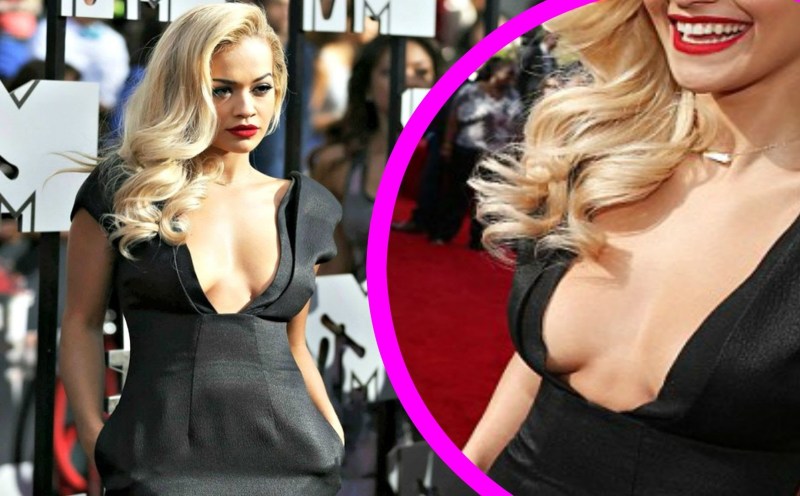 Chest ears of spaniel