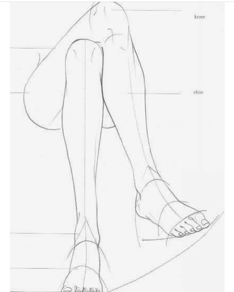 Drawing legs