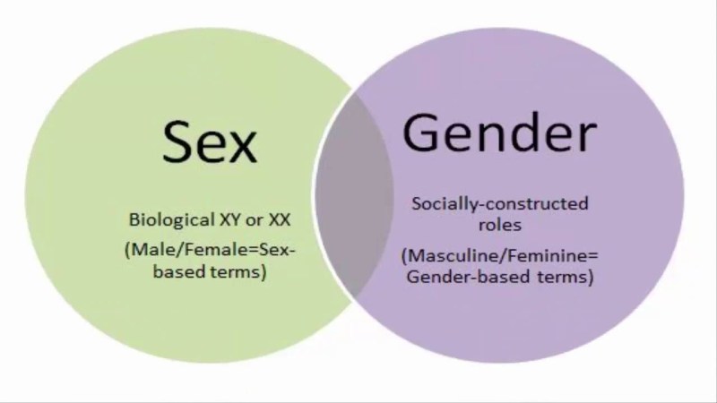 Intimate Relations game